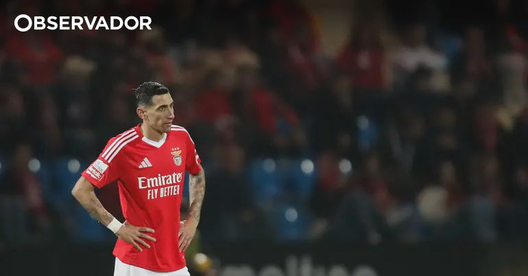observador.pt