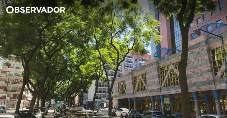 Lisbon's Controversial Decision: 25 Jacaranda Trees to Be Cut Down for Underground Parking