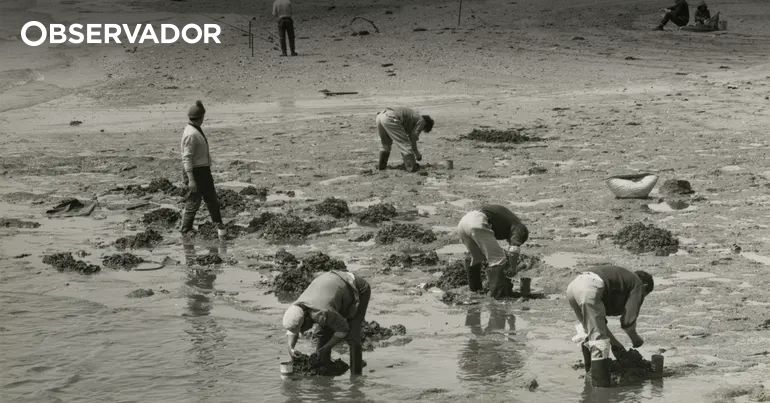 Lisbon Museum Unveils Hidden Stories of the City in New Exhibition