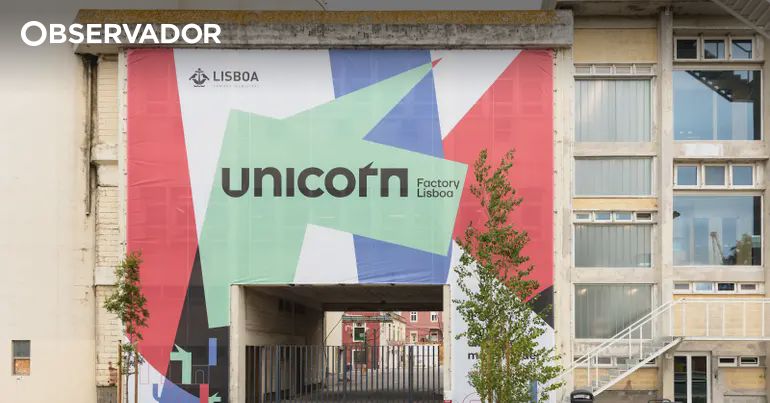 Sete scaleups juntam-se à Sensei no programa de aceleração da Fábrica dos Unicórnios de Moedas