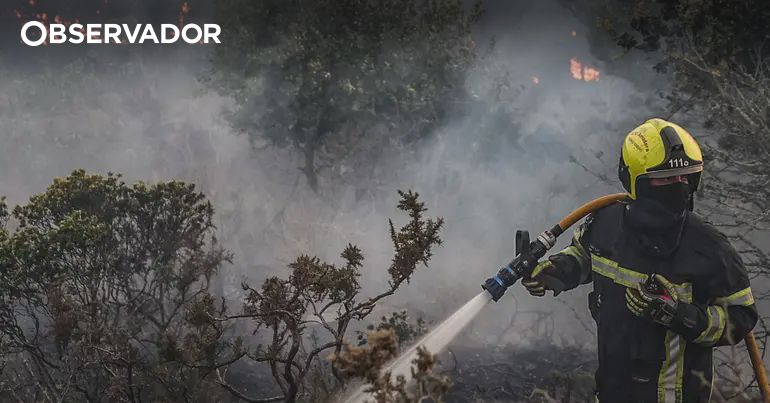 Descrição da imagem