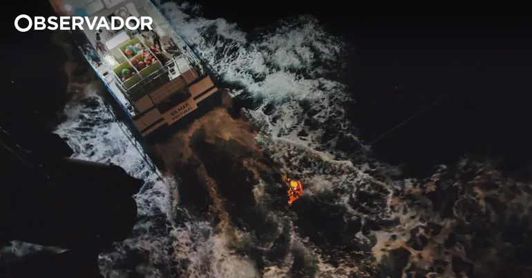 Orca Attack Sinks Sailboat Off Peniche Coast: Dramatic Rescue Saves Family of Five