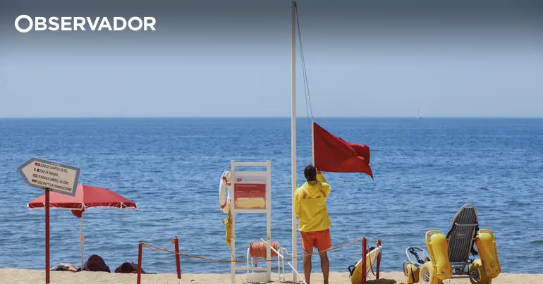 Algarve Beaches Closed Due to E. coli Contamination - Red Flag Alert
