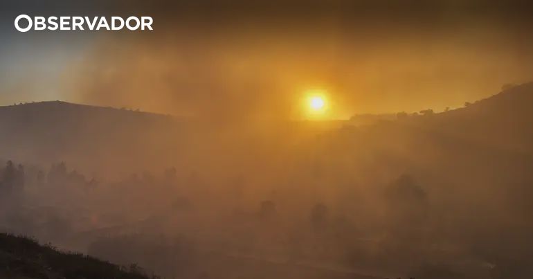 Featured image for article: Portugal's Wildfire Crisis: Expert Links Fires to Land Ownership Structure, Not Just Climate Change