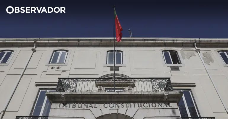 Constitutional Court Vice-President Criticizes Ruling on Foreigners' Law as Based on Personal Convictions