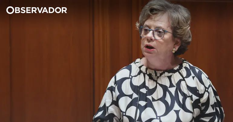 Minister Dismisses Concerns Over Aerial Firefighting Resources as "Irrelevant" Amidst Wildfire Crisis