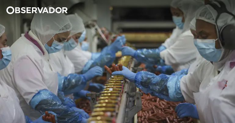 Sicasal retoma produção e aguarda por investidores – Observador