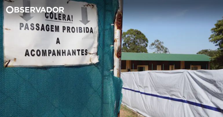 Cólera já fez 75 mortos em Moçambique desde setembro – Observador