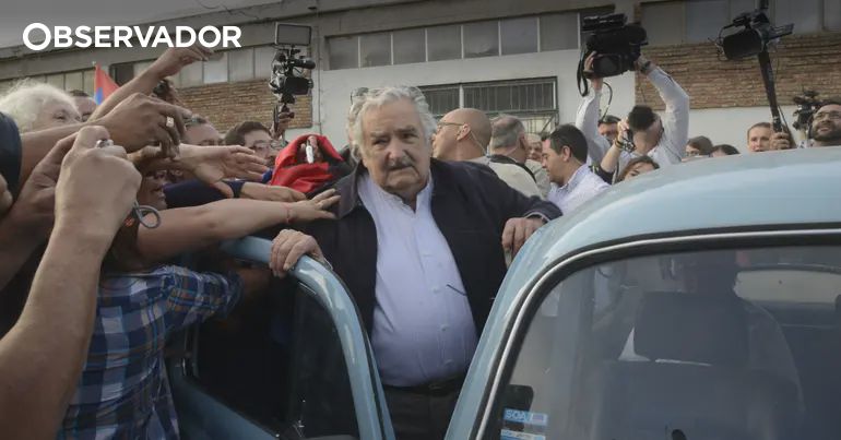 observador.pt
