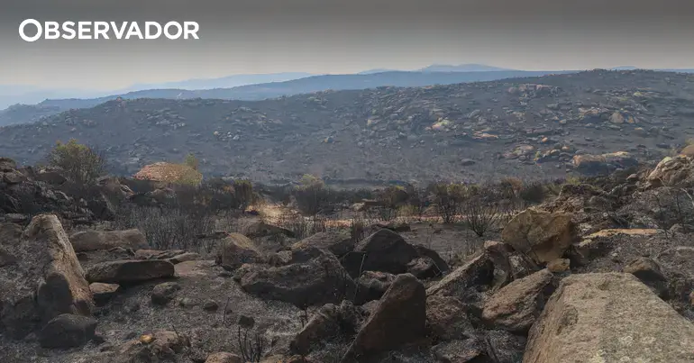 Experts Reveal How to Combat the Mega Wildfires Becoming Common in Portugal