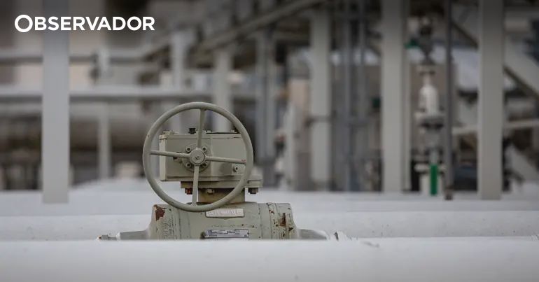 Zelensky quer garantias antes de agir – Observador Zelensky quer garantias antes de agir – Observador