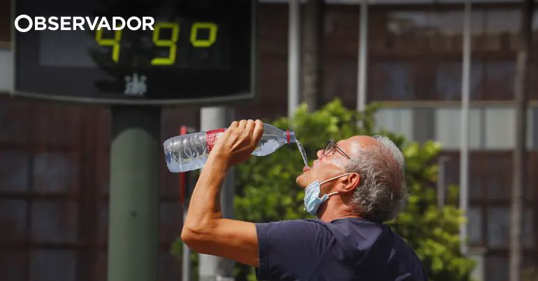 observador.pt