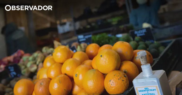 Excedente comercial agroalimentar da UE recua em 2025 – Observador