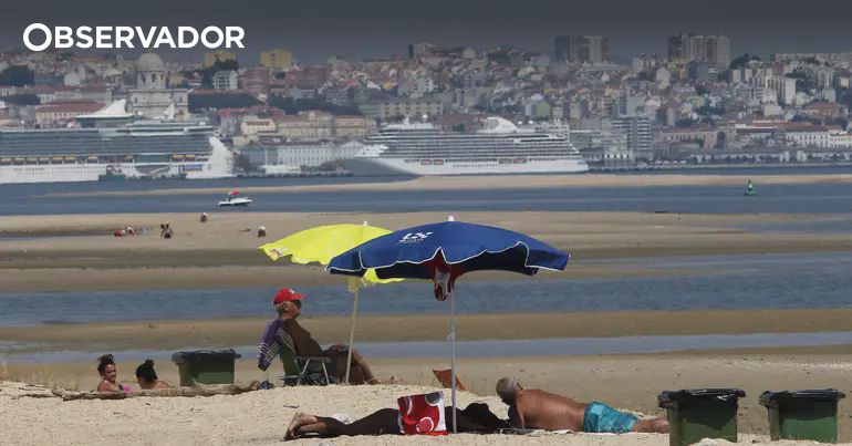 Descrição da imagem