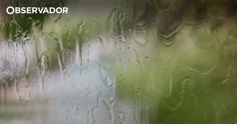 Severe Rainfall Triggers Flash Floods in Lisbon: Loures and Odivelas Hit Hardest