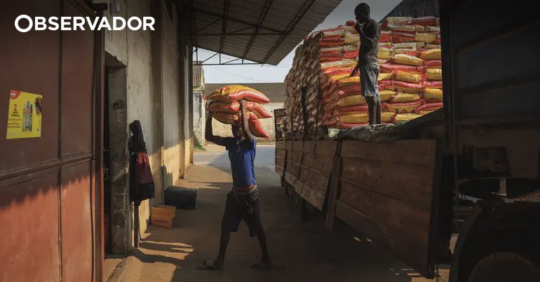 Cidade moçambicana homenageia português ‘pai’ da Textáfrica – Observador