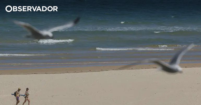 Algarve's Economic Congress Tackles Seasonal Dependency with Bold Diversification Plans