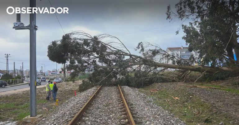 Suspensos comboios de longo curso entre Porto e Lisboa – Observador