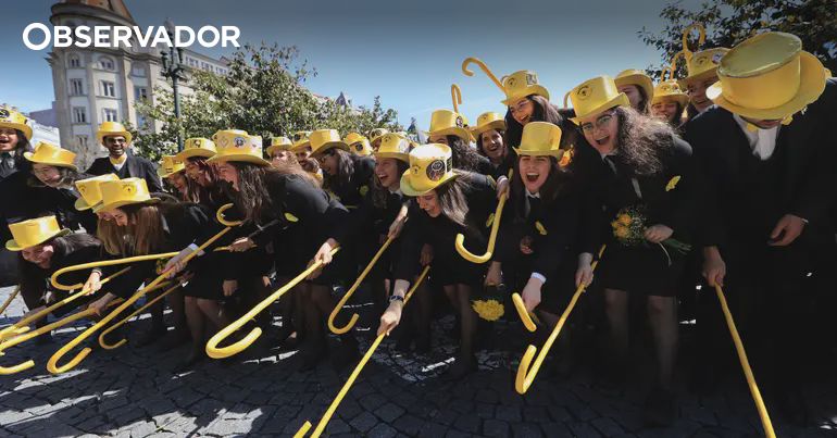 Mulheres em maioria e reforçam liderança mas há desigualdade – Observador Mulheres em maioria e reforçam liderança mas há desigualdade – Observador