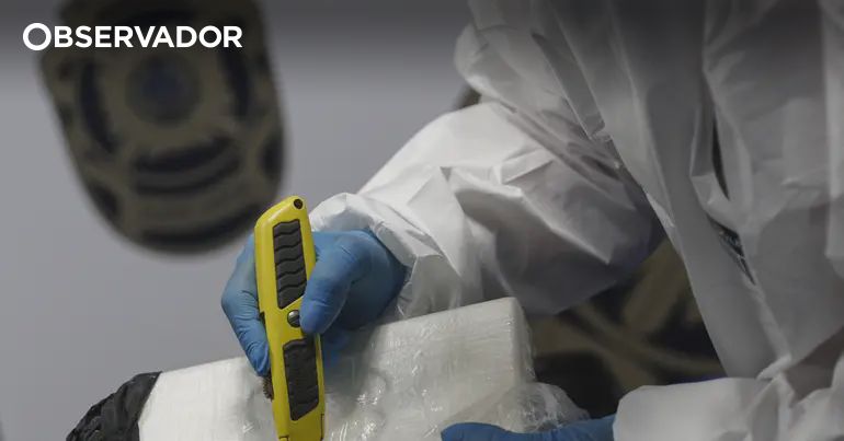 Major Drug Bust in Algarve and Alentejo: Four Arrested with Huge Haul