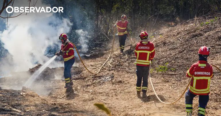 Orçamento para incêndios sobe para 50 milhões – Observador