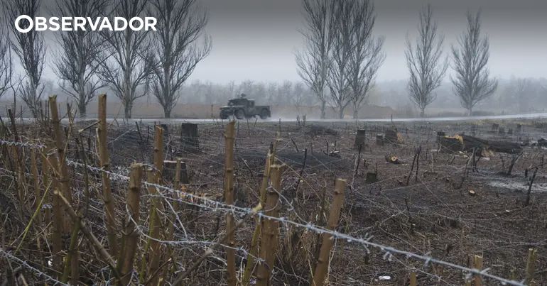 Putin ordenou trégua de "5 ou 6 horas" para jornalistas