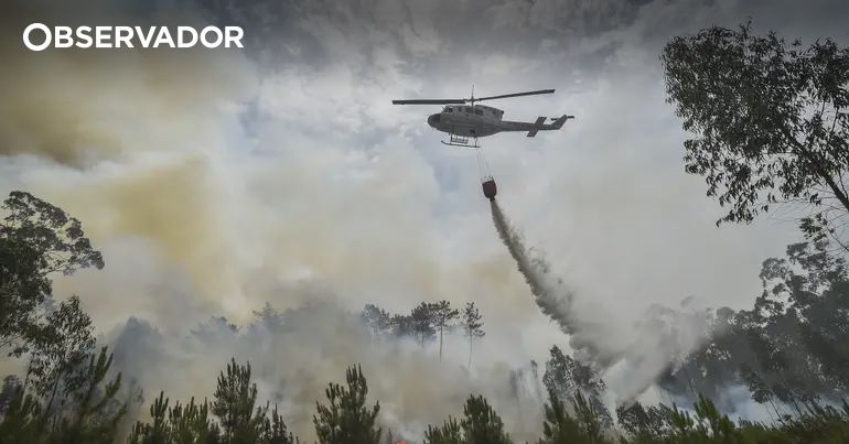 Major Corruption Probe Unveils Alleged Cartel in Portugal's Wildfire Air Support Contracts
