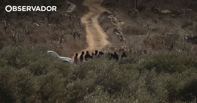 Israeli settlers arrested over West Bank attacks on diplomats