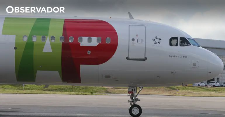 TAP Flight Cancelled After Refusing to Allow Emotional Support Dog in Cabin - Family Fights Back