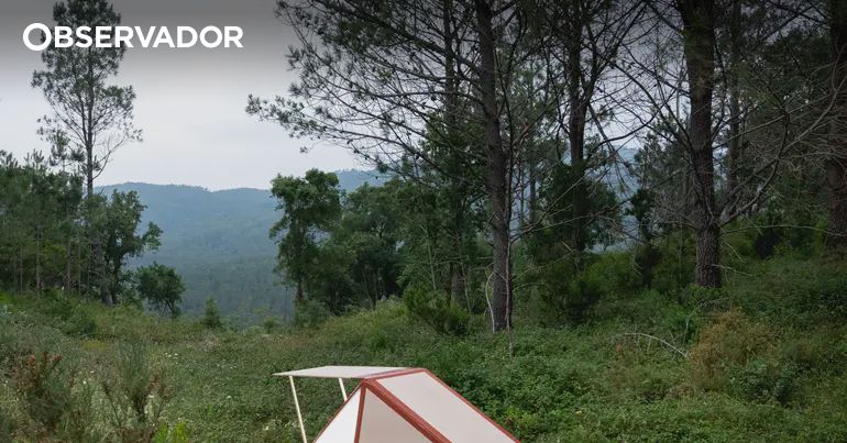 Sintra-Cascais tem nova proteção ambiental – Observador Sintra-Cascais tem nova proteção ambiental – Observador