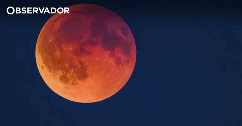 Eclipse lunar tinge Lua de vermelho durante 56 minutos – Observador Eclipse lunar tinge Lua de vermelho durante 56 minutos – Observador