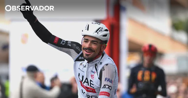 A pérola voltou a polir um bigode cada vez mais voador – Observador
