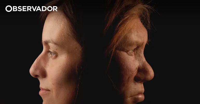 Neandertais preferiam mulheres Homo sapiens, avança estudo – Observador