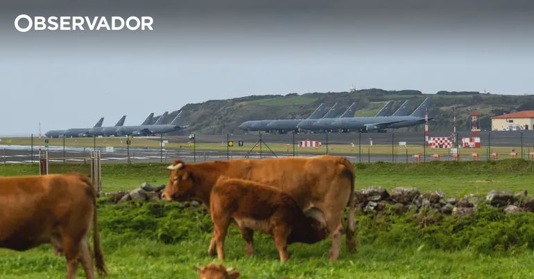 Os vizinhos das Lajes: “Não fales mal dos americanos" Os vizinhos das Lajes: “Não fales mal dos americanos"