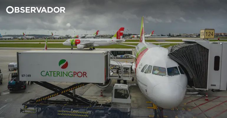 Emotional Support Dog Denied by TAP to Finally Fly to Lisbon "Within Days"
