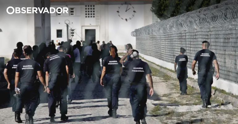 Recluso detido com 40 doses de droga no regresso à cadeia – Observador Recluso detido com 40 doses de droga no regresso à cadeia – Observador