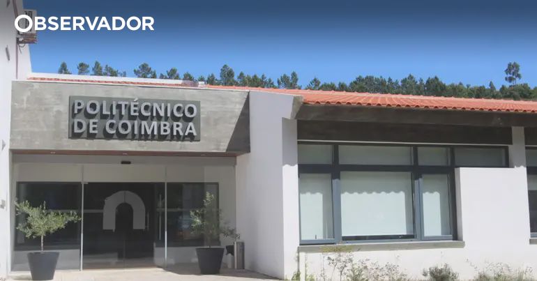 Politécnico de Coimbra Conquista Patente Europeia para Inovação na Indústria de Cortiça