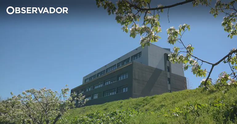 UTAD Recebe Certificação Internacional de 'Campus Saudável' por Excelência em Bem-Estar