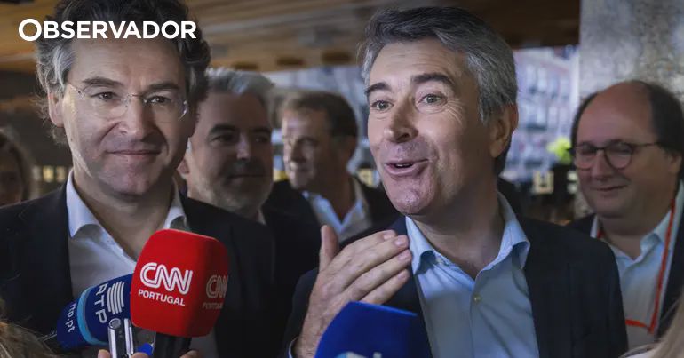 José Luís Carneiro. Carneiro: Responsabilidade nos casos do SNS deve ser assumida pela tutela política