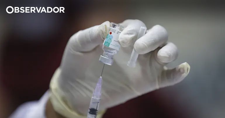 Vacina da Gripe: Profissionais que Lidam com Animais Doentes Terão Acesso Gratuito
