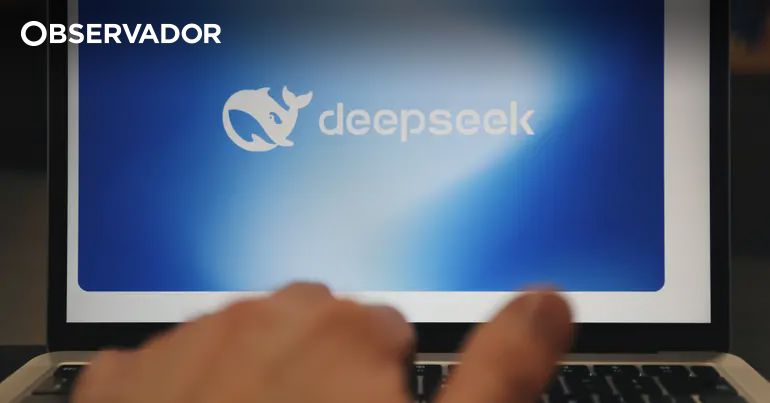 CNCS Adverte: Verifique a Confiabilidade dos Fornecedores de Tecnologia