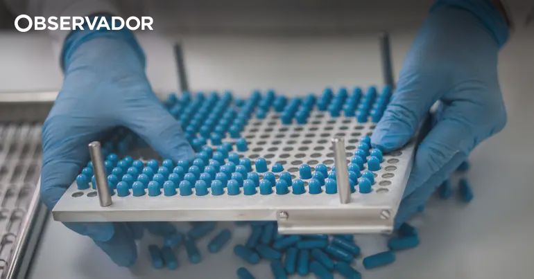 Ordens ligadas à saúde alertam para regulação de psicadélicos em uso clínico
