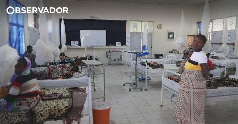 Crise na Saúde de Moçambique: Suspensão da Ajuda Internacional Ameaça Serviços Essenciais