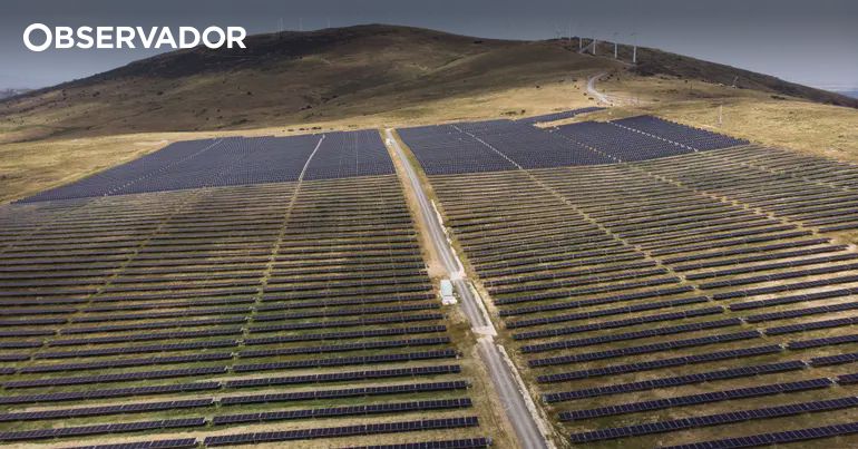 Parques solares: EDP testa tecnologia para cortar custos