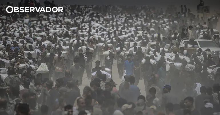 OMS: é essencial fluxo contínuo de ajuda médica em Gaza