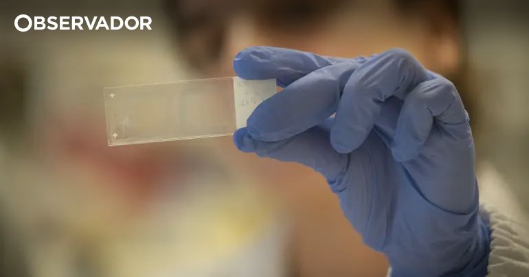 FCT Financia 1.778 Novos Lugares para Investigadores Doutorados: Um Impulso à Carreira Científica