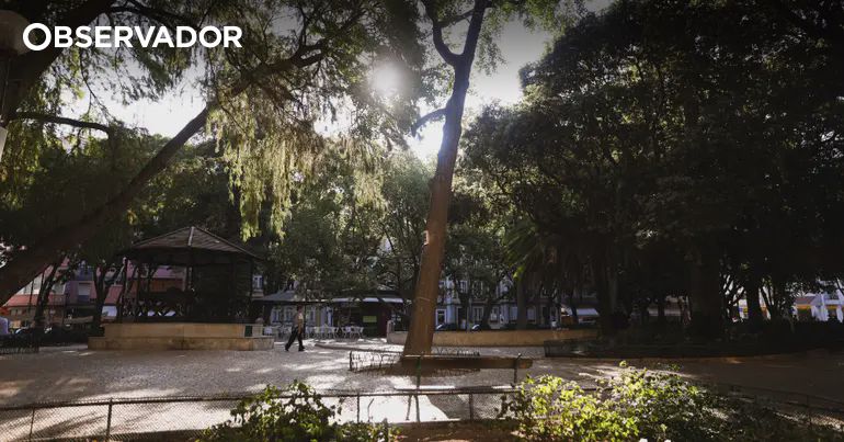 Centro de Saúde de Campo de Ourique: Conclusão Prevista para 2026