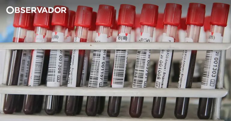 Dadores de Sangue: Mais Profissionais de Saúde Necessários para Colheitas