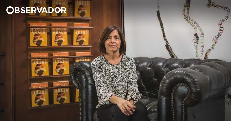 Na narrativa de Marta Orriols ficamos à superfície – Observador
