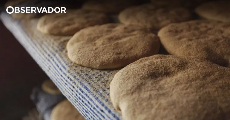 Investigadores desenvolvem pão funcional benéfico para saúde